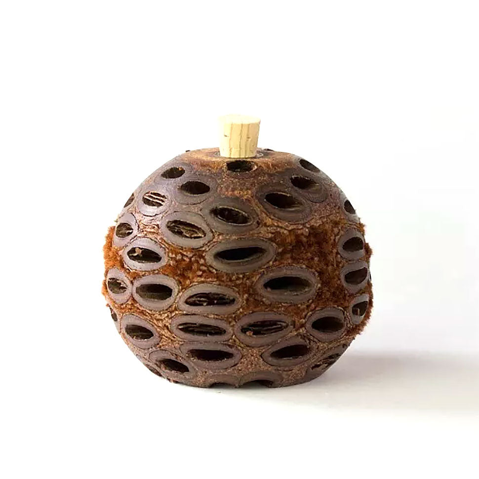 [Banksia ]Mini Aroma Pod