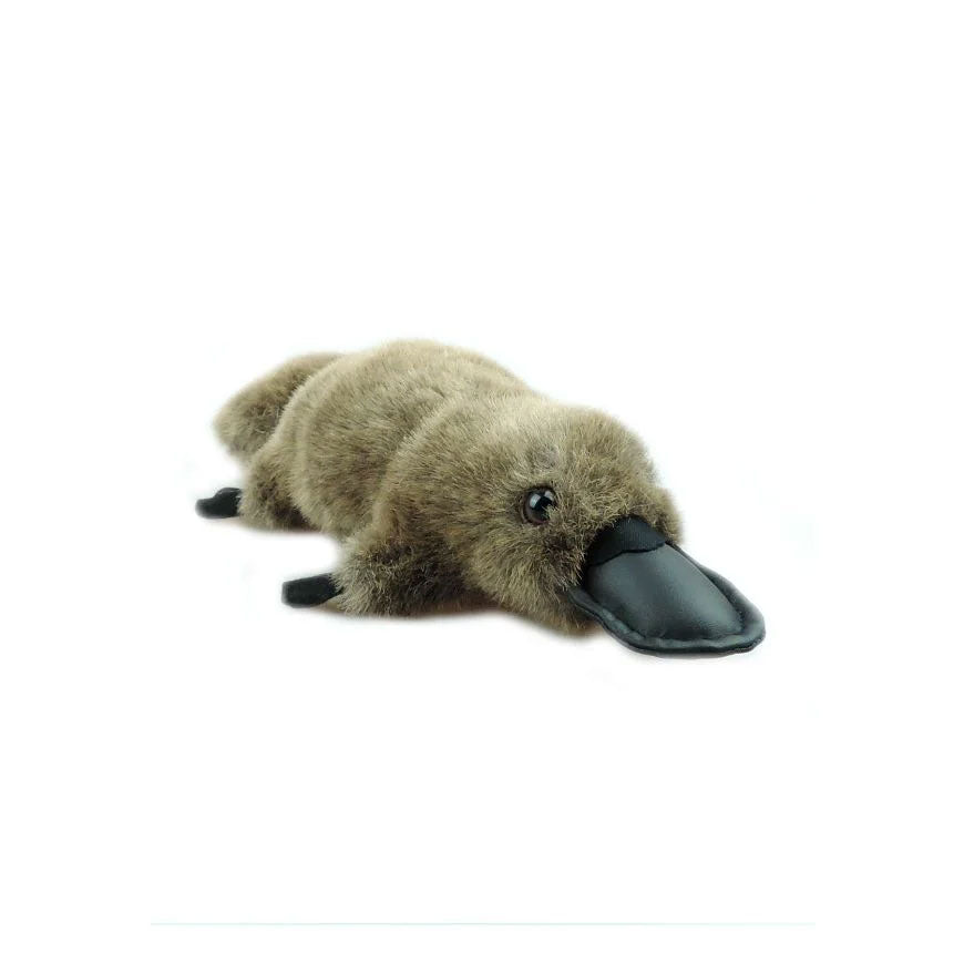 Platypus S SoftToy